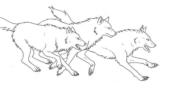 Идеи для срисовки легкие к басне волк на псарне (90 фото)