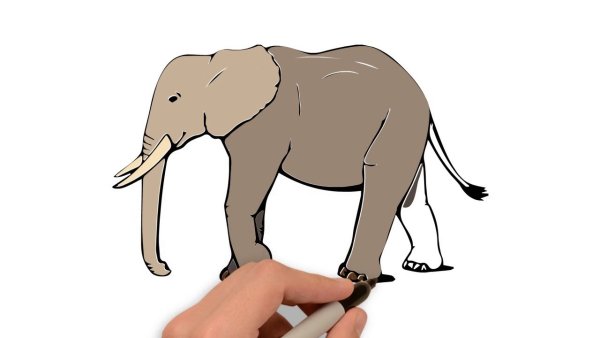 Идеи для срисовки слон и моська легко (90 фото)