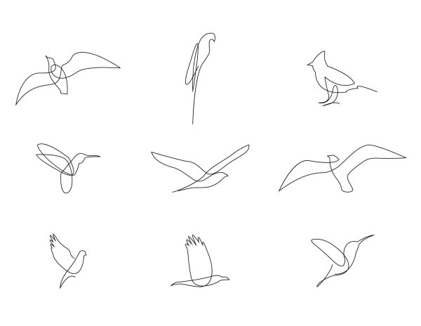 Идеи для срисовки легкие чайки (84 фото)