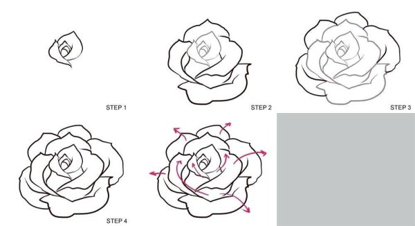 Идеи для срисовки самый легкие розы (90 фото)