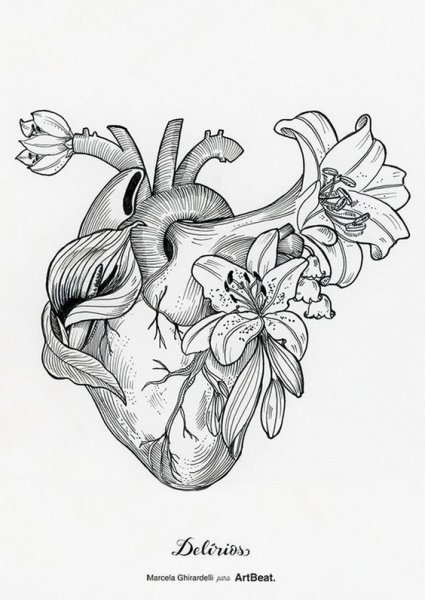 Идеи для срисовки человеческое сердце легкие (90 фото)
