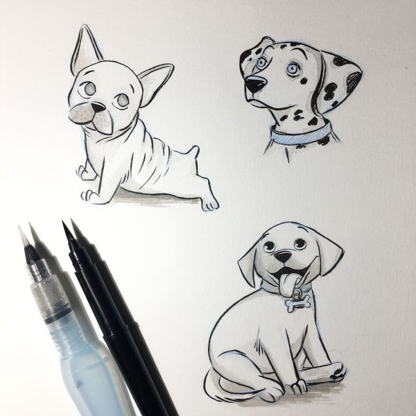Идеи для срисовки про собак легкие (90 фото)