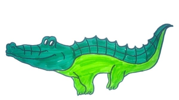 Идеи для срисовки легкие крокодильчика (88 фото)