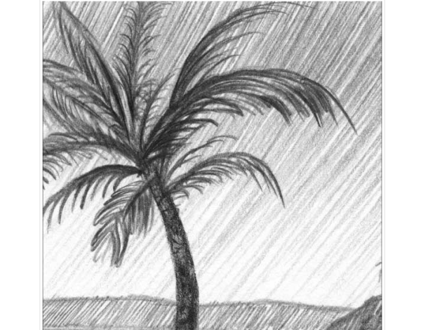 Идеи для срисовки к стиху три пальмы легко (90 фото)