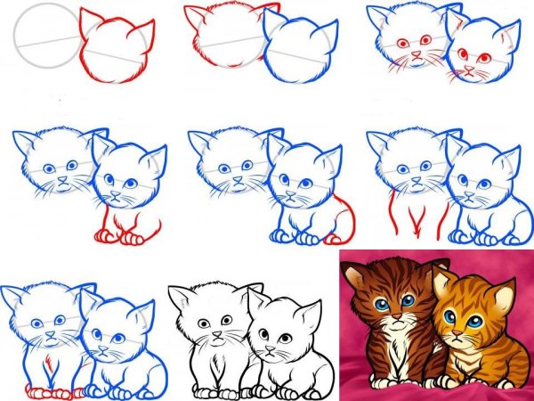 Идеи для срисовки кошка и котята для детей легкие (90 фото)