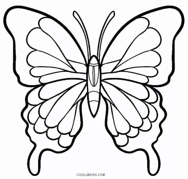 Идеи для срисовки бабочки легкие цветной (90 фото)
