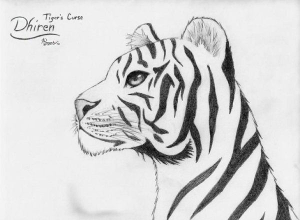 Идеи для срисовки лицо тигра легко (90 фото)