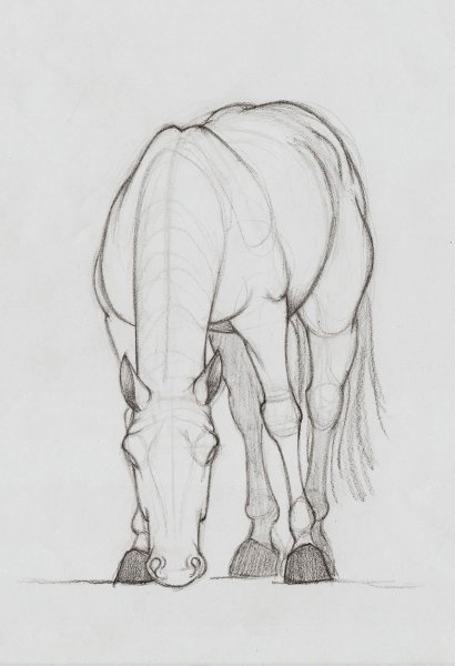 Идеи для срисовки человек на коне легко (87 фото)