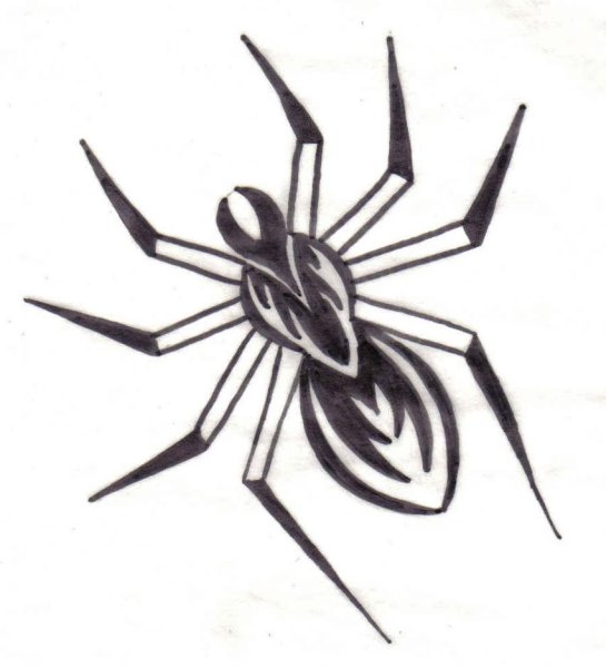Идеи для срисовки легкие паука на руке (90 фото)