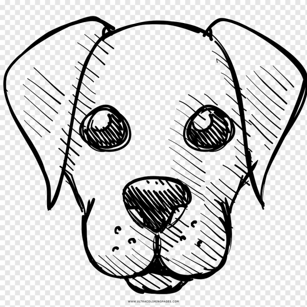 Идеи для срисовки лицо собаки очень легко (90 фото)