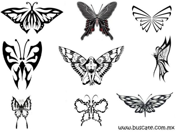 Идеи для срисовки ребра с бабочками легкие (90 фото)