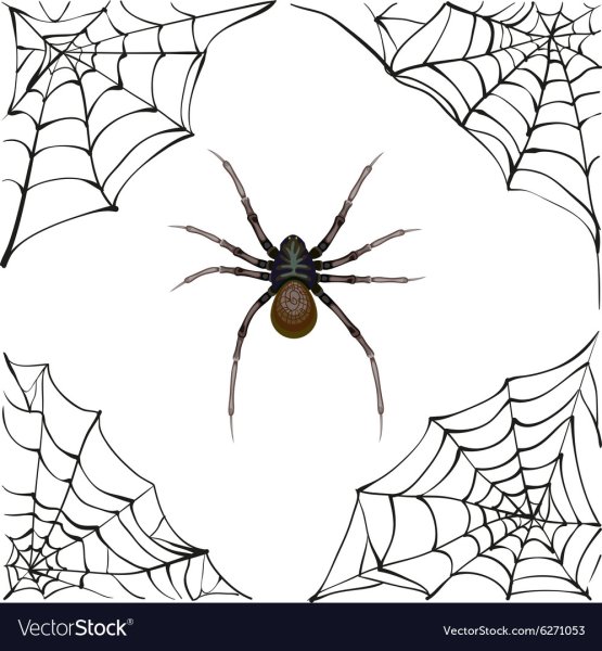 Поэтапное рисование паучок с паутинкой