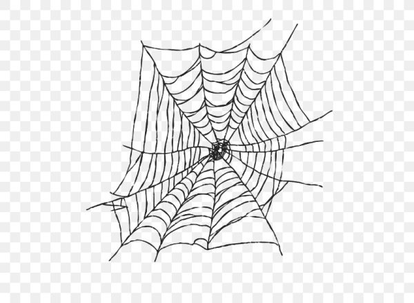 Паутина человека паука