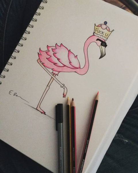 Рисунки для скетчбука Фламинго