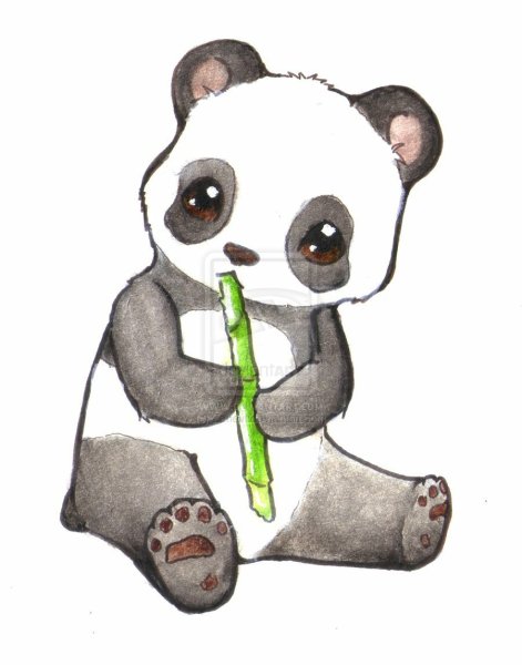 Идеи для срисовки картинки панды милые (90 фото)