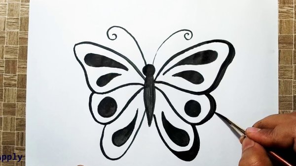 Идеи для срисовки милые бабочки (90 фото)