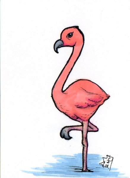 Идеи для срисовки милый фламинго (90 фото)