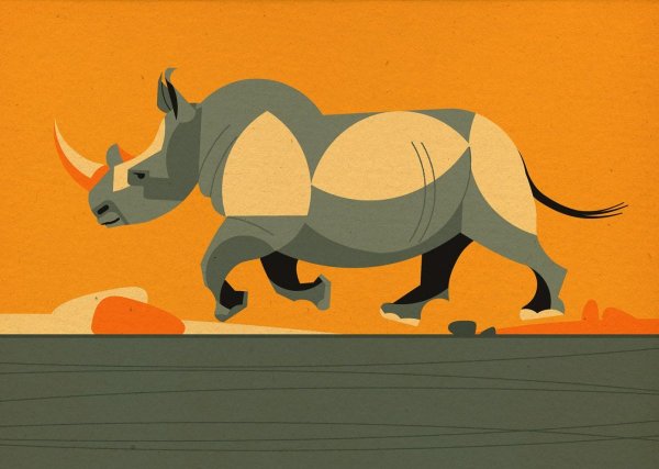 Идеи для срисовки носорог милый (86 фото)