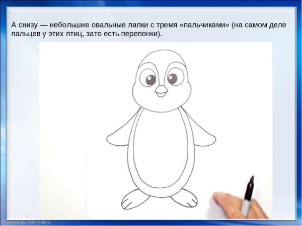 Идеи для срисовки пингвина для детей карандашом поэтапно легко для начинающих (90 фото)