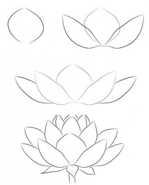 Идеи для срисовки красивый карандашом для начинающих цветок (90 фото)