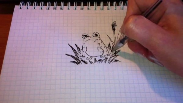 Идеи для срисовки легкие гелевой ручкой для начинающих (90 фото)