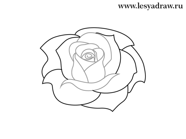Идеи для срисовки легкий розы для начинающих (90 фото)