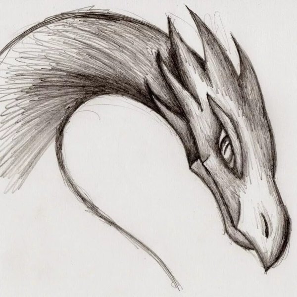 Идеи для срисовки драконов карандашом поэтапно для начинающих полегче (90 фото)