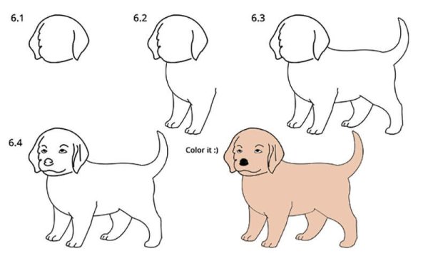 Идеи для срисовки собака для детей простой легкий поэтапно для начинающих (90 фото)