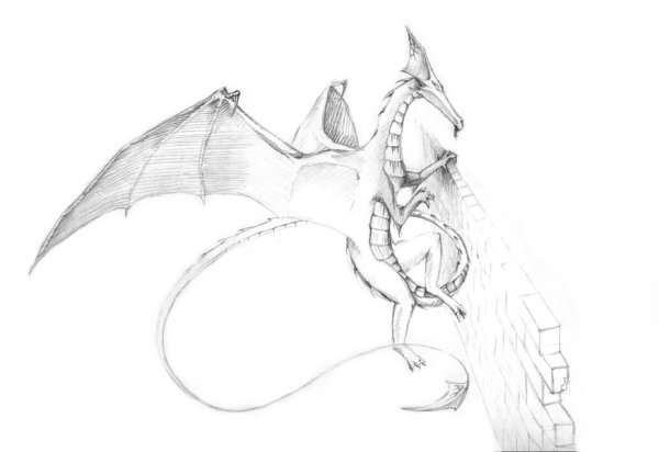 Идеи для срисовки легкие карандашом для начинающих драконы (90 фото)