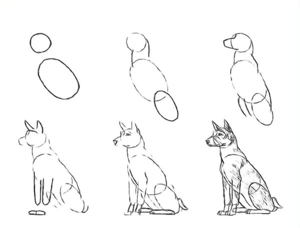 Идеи для срисовки легкие собак карандашом для начинающих (90 фото)