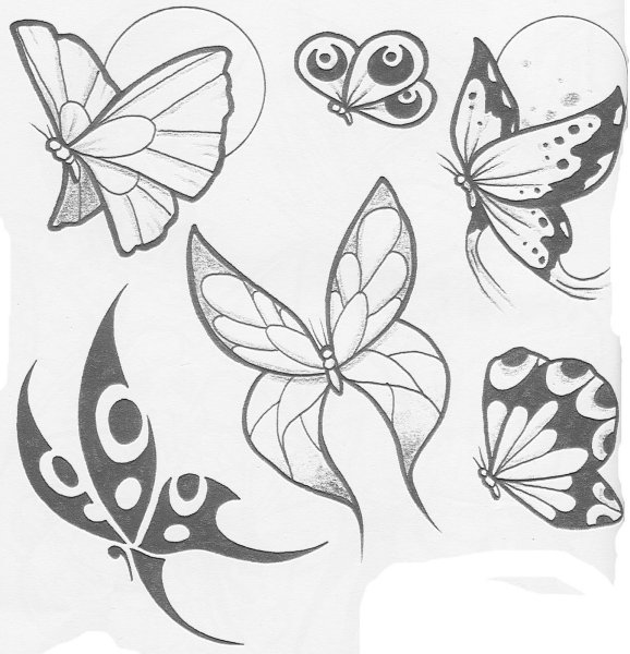 Идеи для срисовки простые бабочек для начинающих (88 фото)