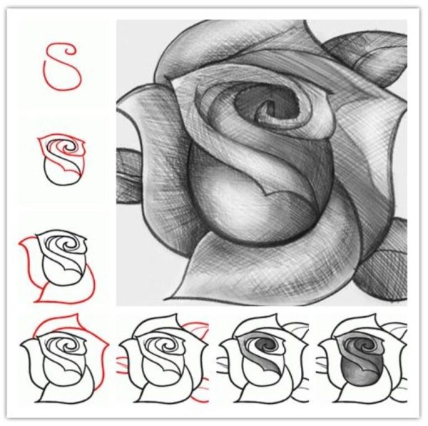 Идеи для срисовки розы карандашом для начинающих легкие и красивые (90 фото)