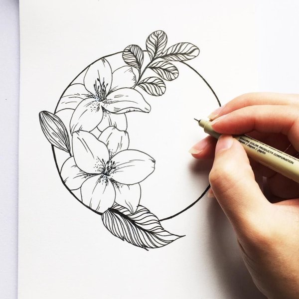 Идеи для срисовки цветы простым карандашом для начинающих (90 фото)