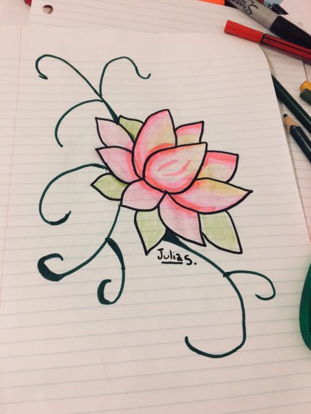 Идеи для срисовки простым карандашом для начинающих цветок (90 фото)