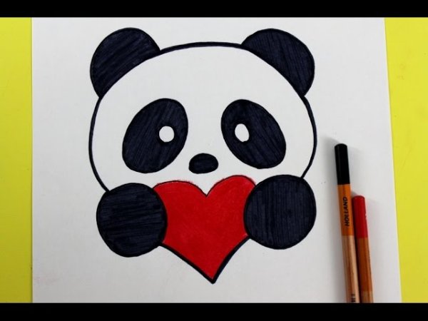 Идеи для срисовки панда карандашом красиво и мило для начинающих (90 фото)