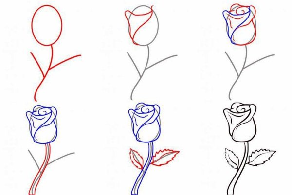 Идеи для срисовки простые поэтапно для начинающих цветы (90 фото)