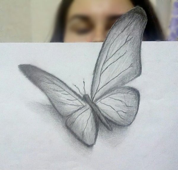 Идеи для срисовки бабочка карандашом для начинающих простая (82 фото)