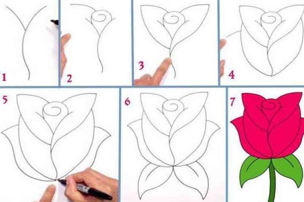 Идеи для срисовки роза простой поэтапно для начинающих (90 фото)