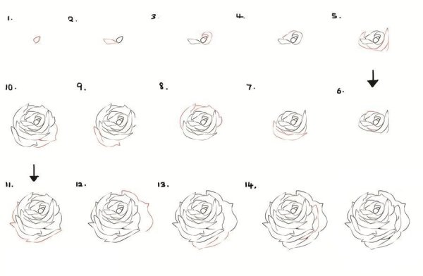 Идеи для срисовки роза простой карандашом для начинающих поэтапно (90 фото)
