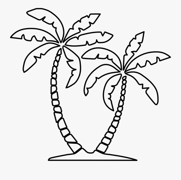 Идеи для срисовки маленькая пальма (90 фото)
