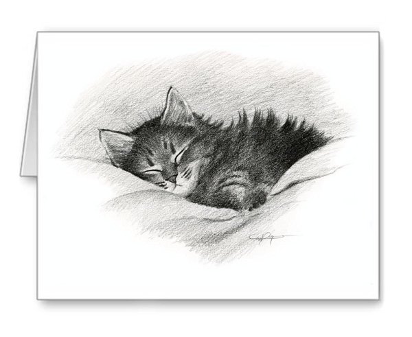 Идеи для срисовки спящий котенок маленький (85 фото)