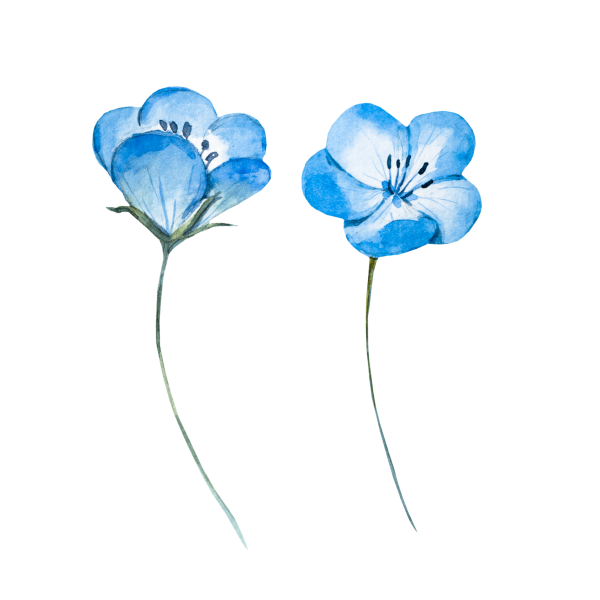 Идеи для срисовки голубые маленькие цветочки (90 фото)