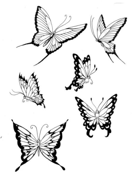 Идеи для срисовки бабочка маленькая (88 фото)