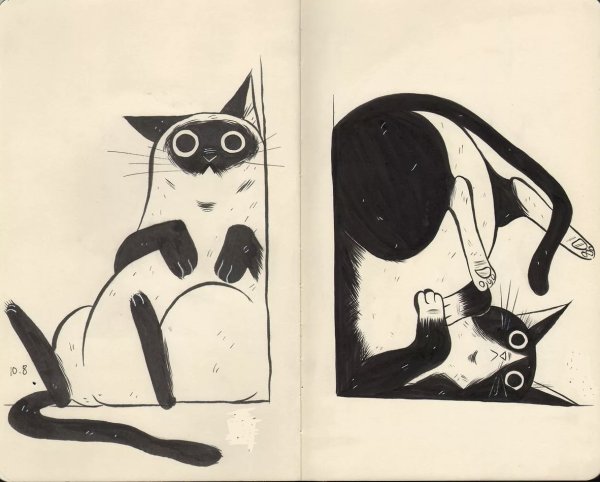 Идеи для срисовки маленький черный кот (90 фото)