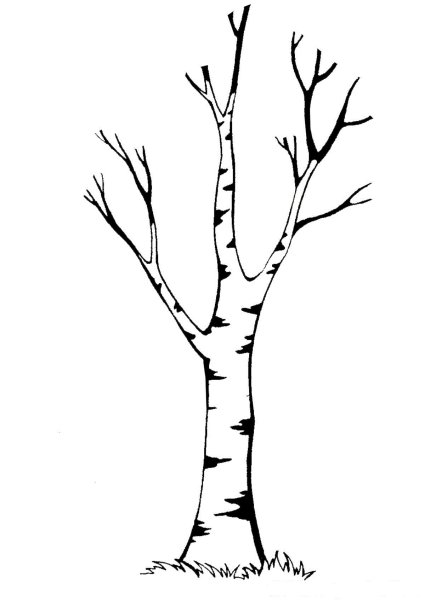 Дерево без листьев раскраска для детей - 71 фото