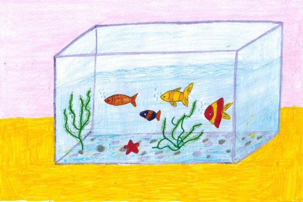 Аппликация «Рыбки в аквариуме» — пошаговые мастер — классы для детей