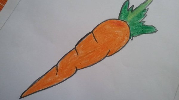 Идеи для срисовки маленькая морковка (90 фото)