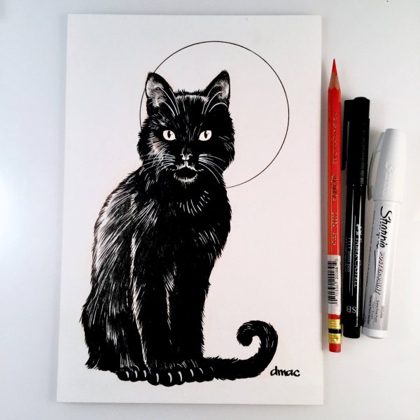 Идеи для срисовки маленький черный котенок (90 фото)