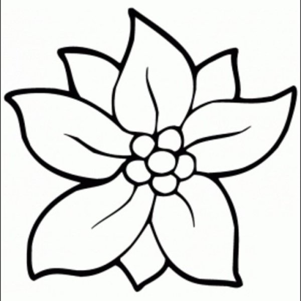 Идеи для срисовки цветочки маленького формата (90 фото)