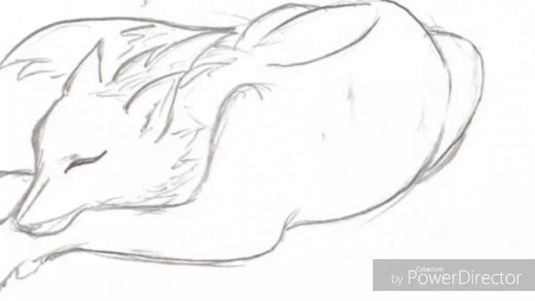 Идеи для срисовки аниме карандашом поэтапно для начинающих легко животные (90 фото)